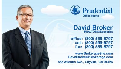 Prudential Business Cards
