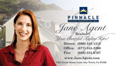 Pinnacle Business Card 015